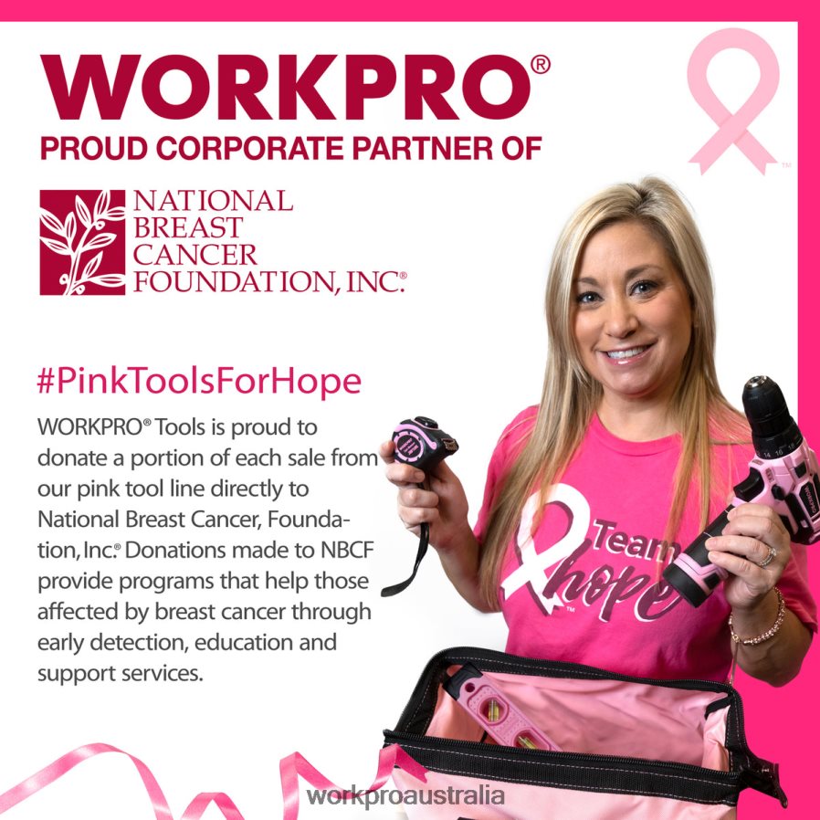 WORKPRO 16-inch Tool Box Plastic Toolbox with Metal Latch and Removable Tray D4R0VT23 Storage Pink