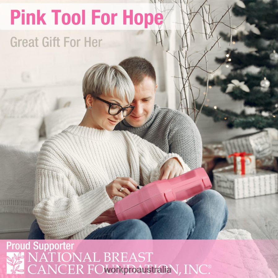 WORKPRO 18 Pcs General Home Tool Kit D4R0VT102 Tool Pink/Blue