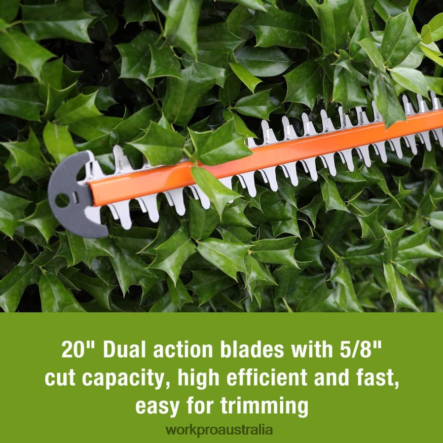 WORKPRO 20V Cordless Hedge Trimmer Dual Action Blades Electric Gardening Tool 20Ah Battery and 1 Hour Quick Charger Included D4R0VT295 Tool Morden
