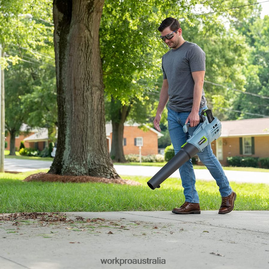 WORKPRO 20V Cordless Leaf Blower with 5 Adjustable Speeds 40Ah Larger Capacity Battery and Quick Charger Included D4R0VT292 Tool Helpful