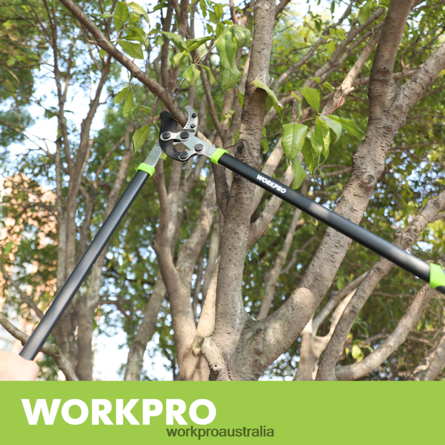 WORKPRO Anvil Lopper 32 Inch Branch Cutter with Compound Action Heavy Duty Garden Tree Trimmer D4R0VT282 Tool Morden