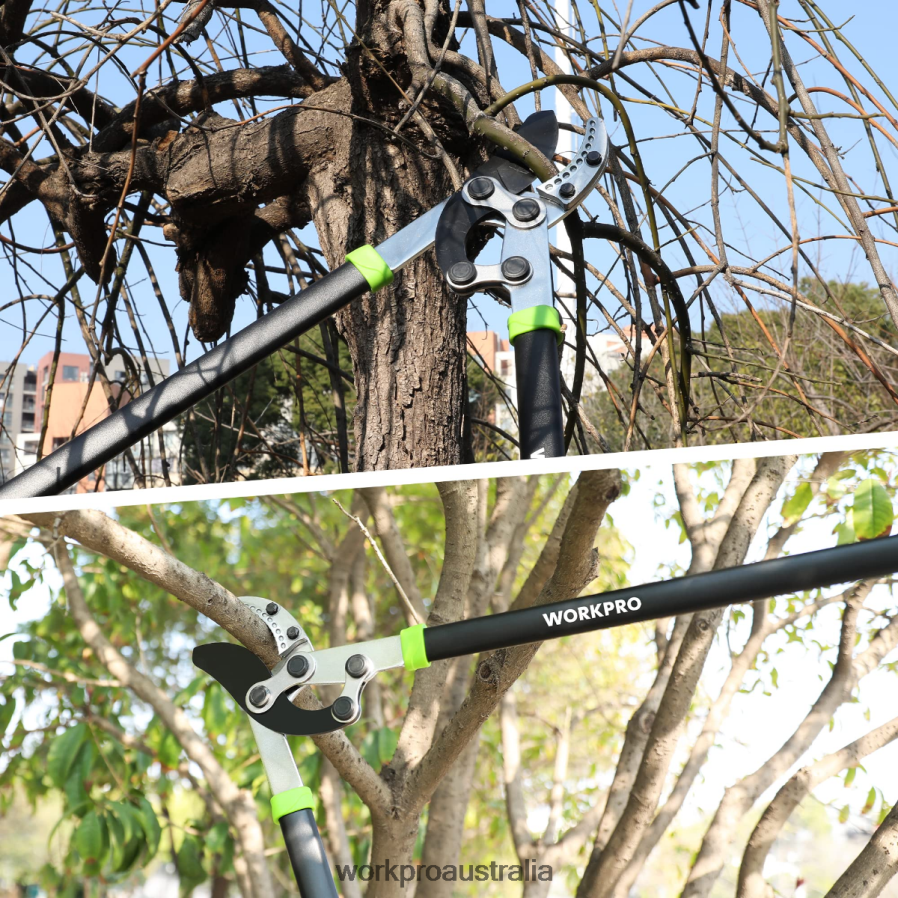 WORKPRO Anvil Lopper 32 Inch Branch Cutter with Compound Action Heavy Duty Garden Tree Trimmer D4R0VT282 Tool Morden