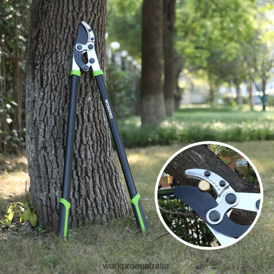 WORKPRO Anvil Lopper 32 Inch Branch Cutter with Compound Action Heavy Duty Garden Tree Trimmer D4R0VT282 Tool Morden