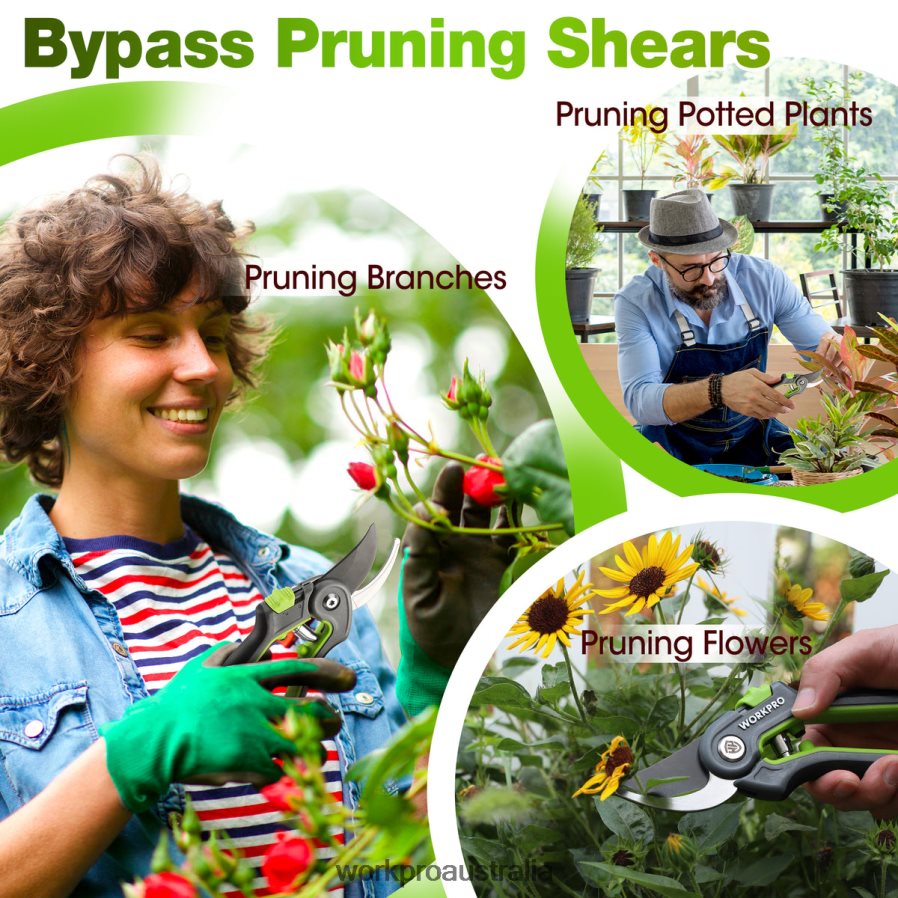 WORKPRO Garden Pruning Shears 2 Pack Bypass Pruning Shears and Straight Garden Scissors D4R0VT280 Tool Morden