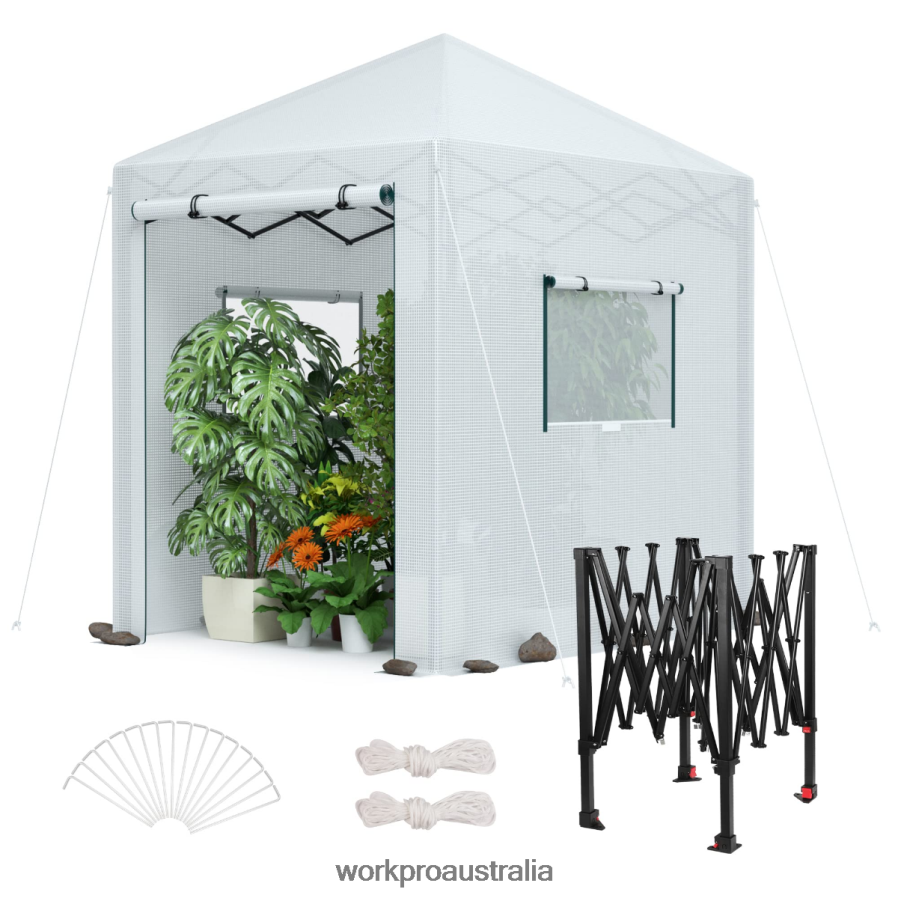 WORKPRO Portable Walk-in Greenhouse D4R0VT289 Tool Useful