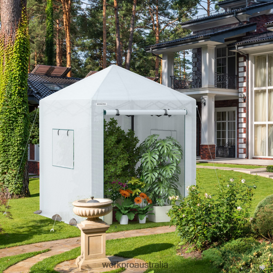 WORKPRO Portable Walk-in Greenhouse D4R0VT289 Tool Useful