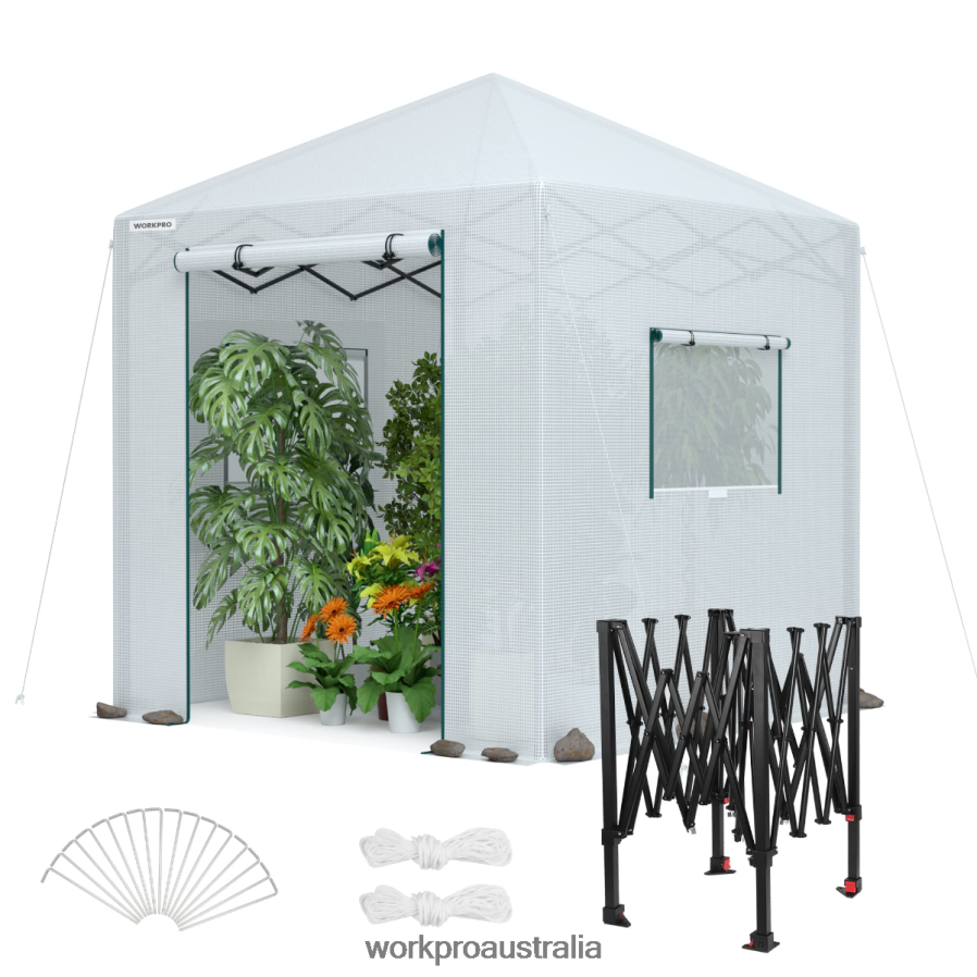 WORKPRO Portable Walk-in Greenhouse D4R0VT279 Tool Morden